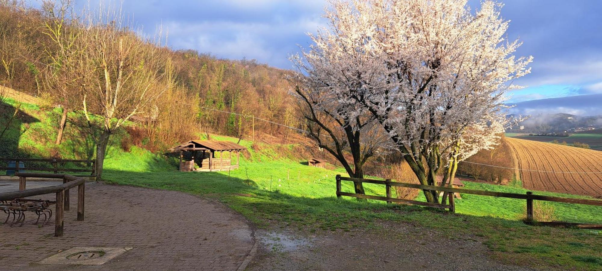 Cascina Fazioli Villa Alfiano Natta Kültér fotó