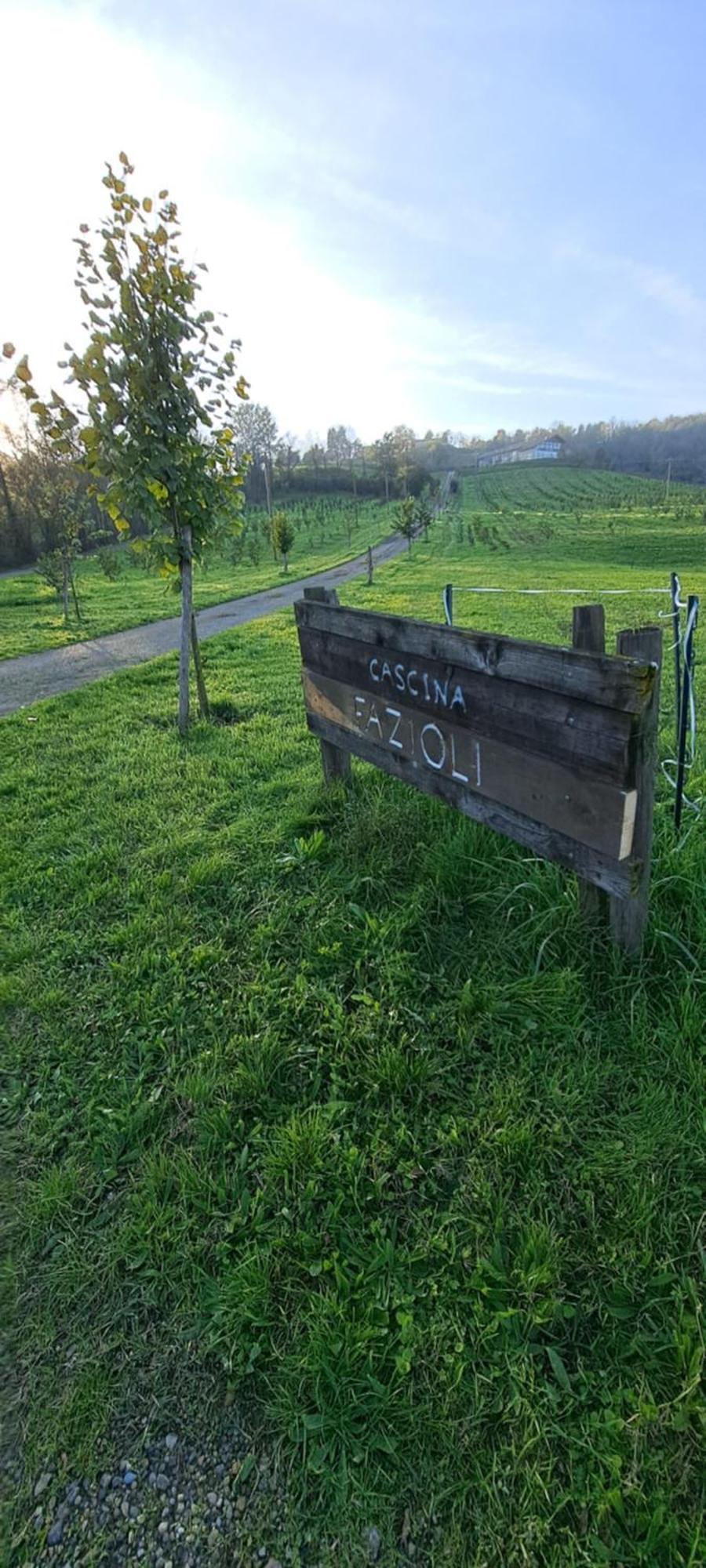 Cascina Fazioli Villa Alfiano Natta Kültér fotó