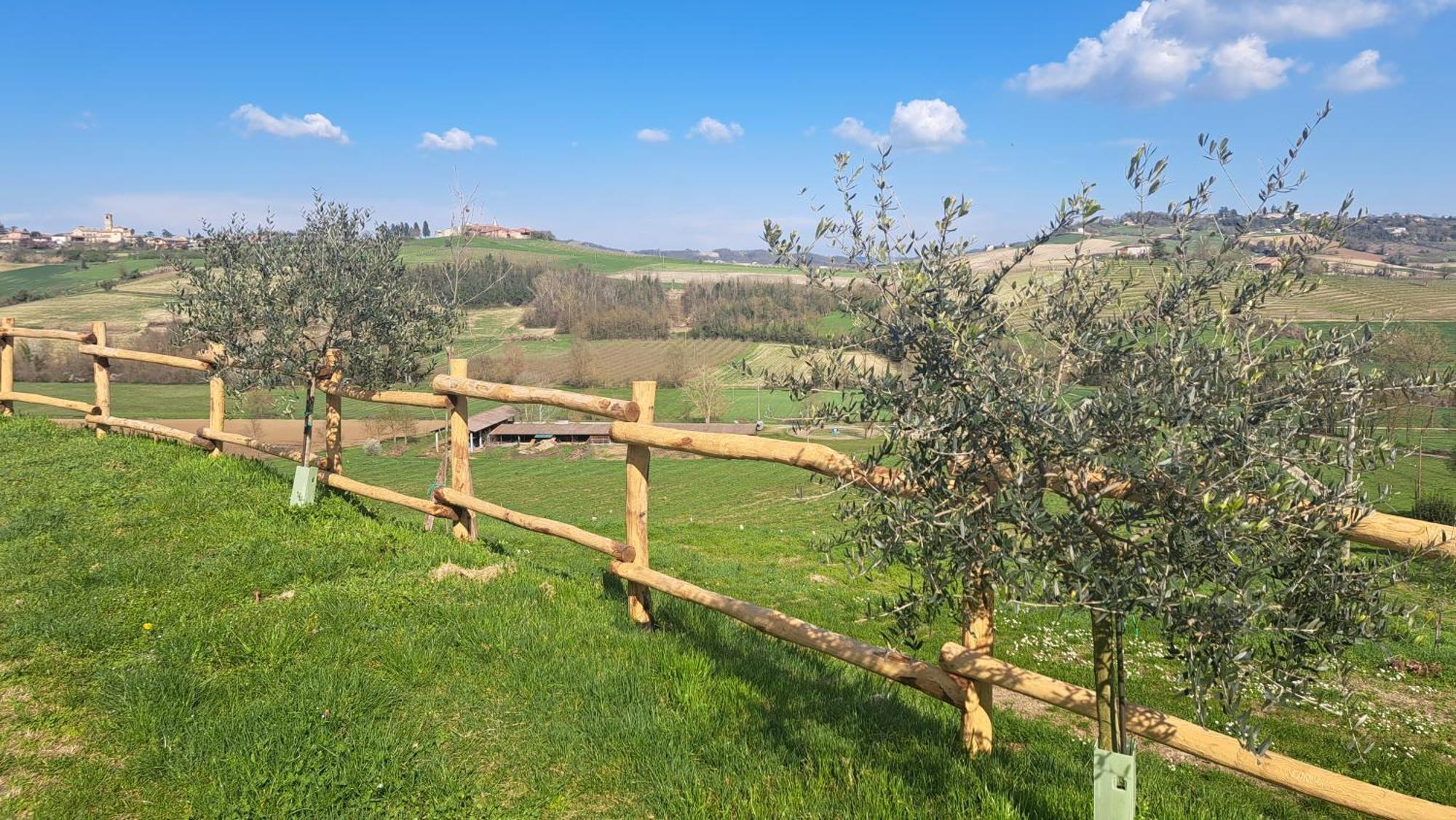 Cascina Fazioli Villa Alfiano Natta Kültér fotó
