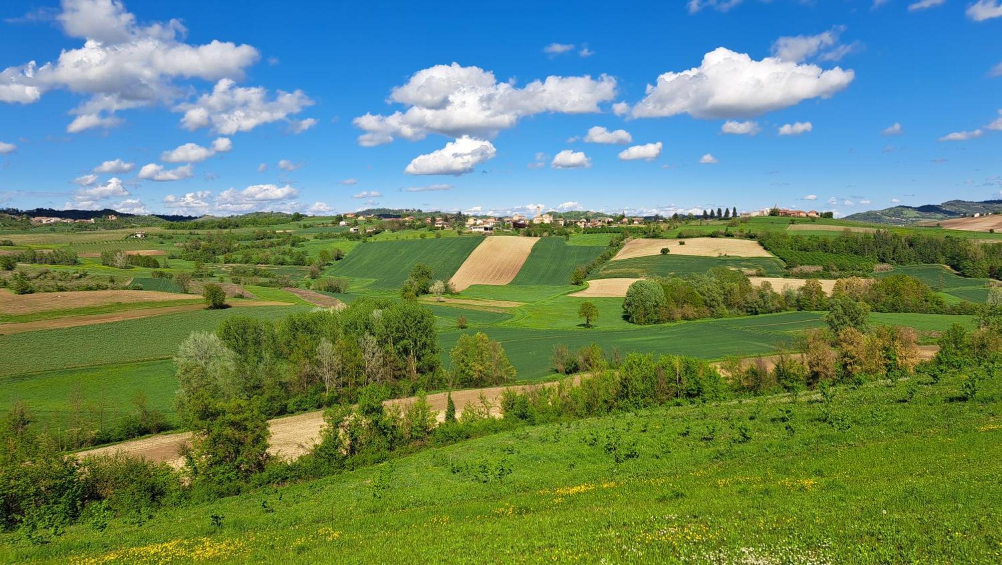 Cascina Fazioli Villa Alfiano Natta Kültér fotó